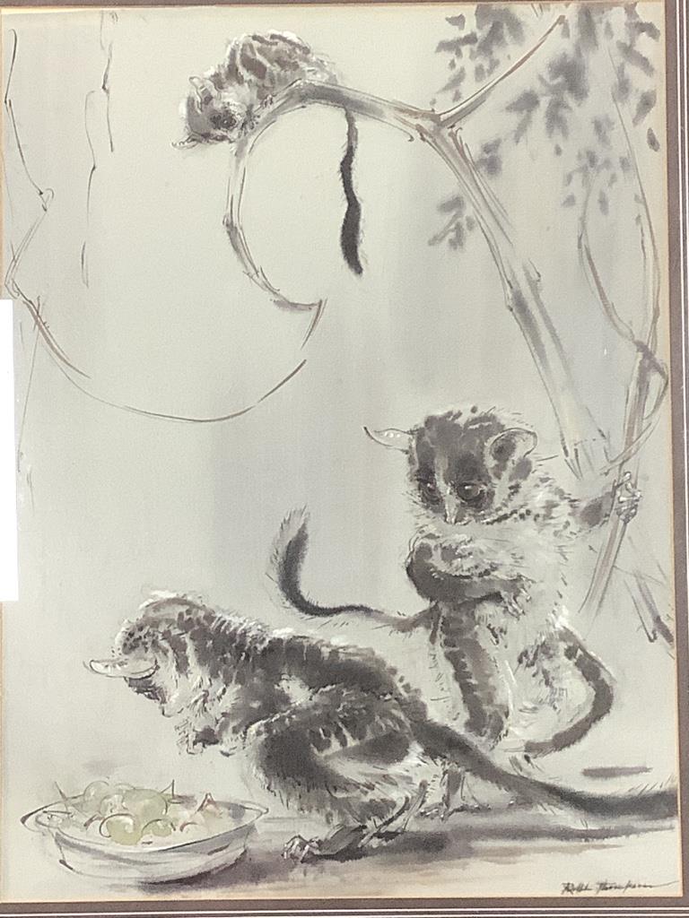Ralph Thompson (1913-2009), ink and wash, 'Bush Babies', signed with Tryon Gallery label verso, 48 x 36cm